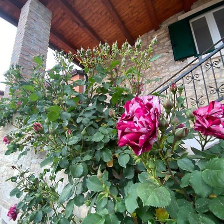 Villa Kortina Bašanija Extérieur photo