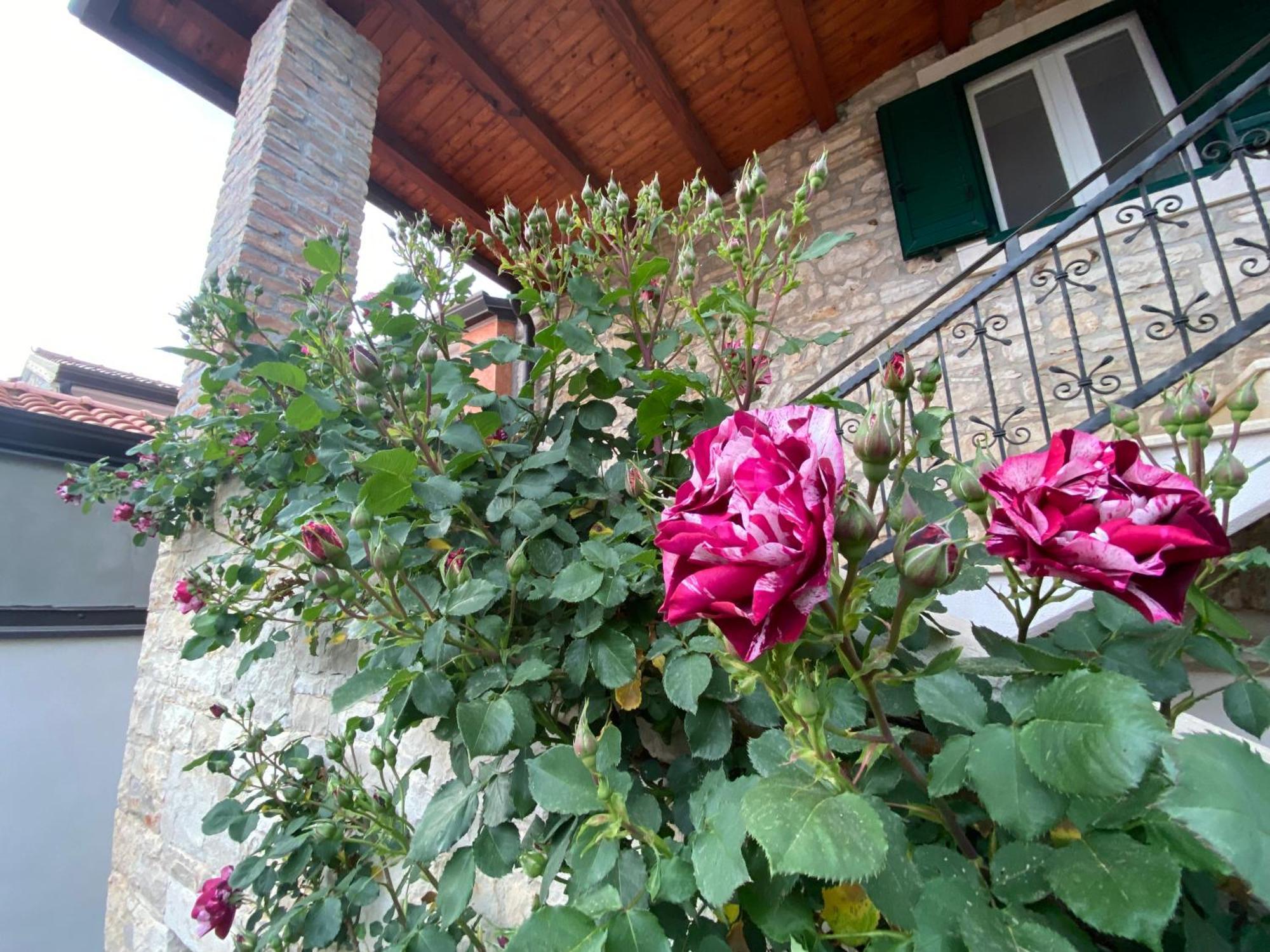 Villa Kortina Bašanija Extérieur photo